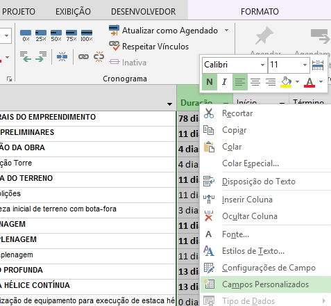 Campo Personalizado